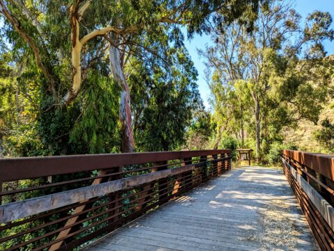 Santa Rosa Valley Hill Canyon Bridge
