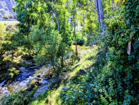 Santa Rosa Valley Hill Canyon Creek