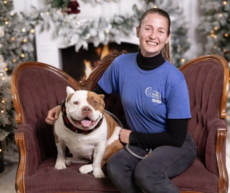 Image for the Tweet beginning: Santa Paws is happening this