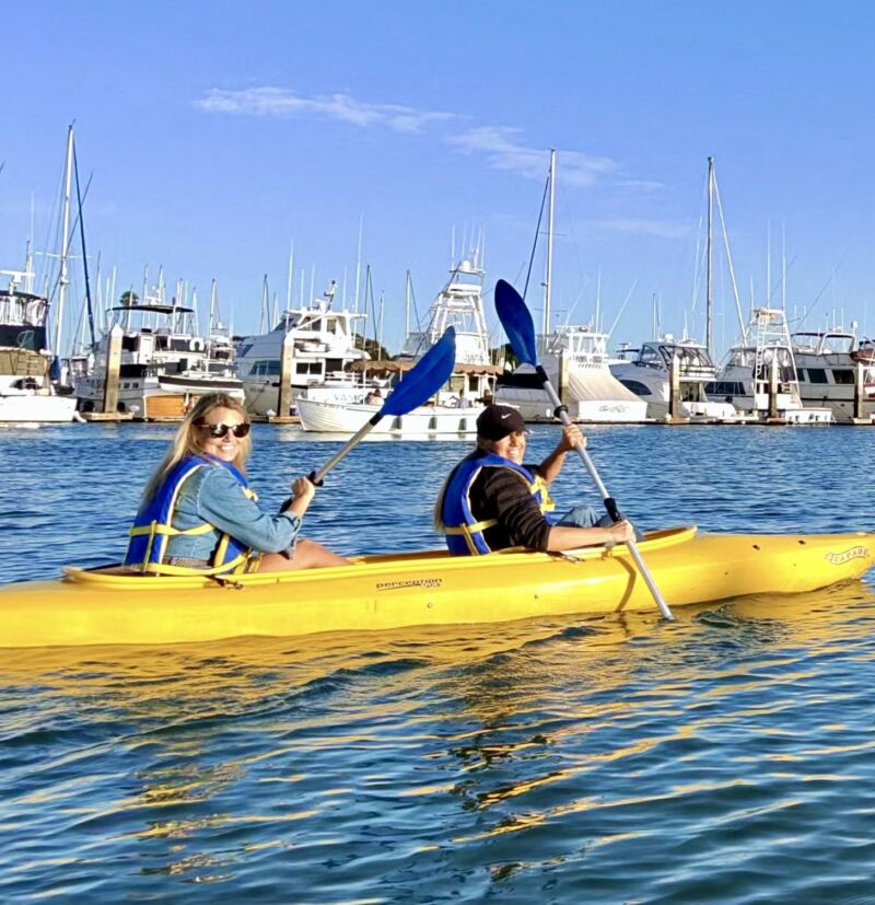 Image for the Tweet beginning: Fun 1st day of February