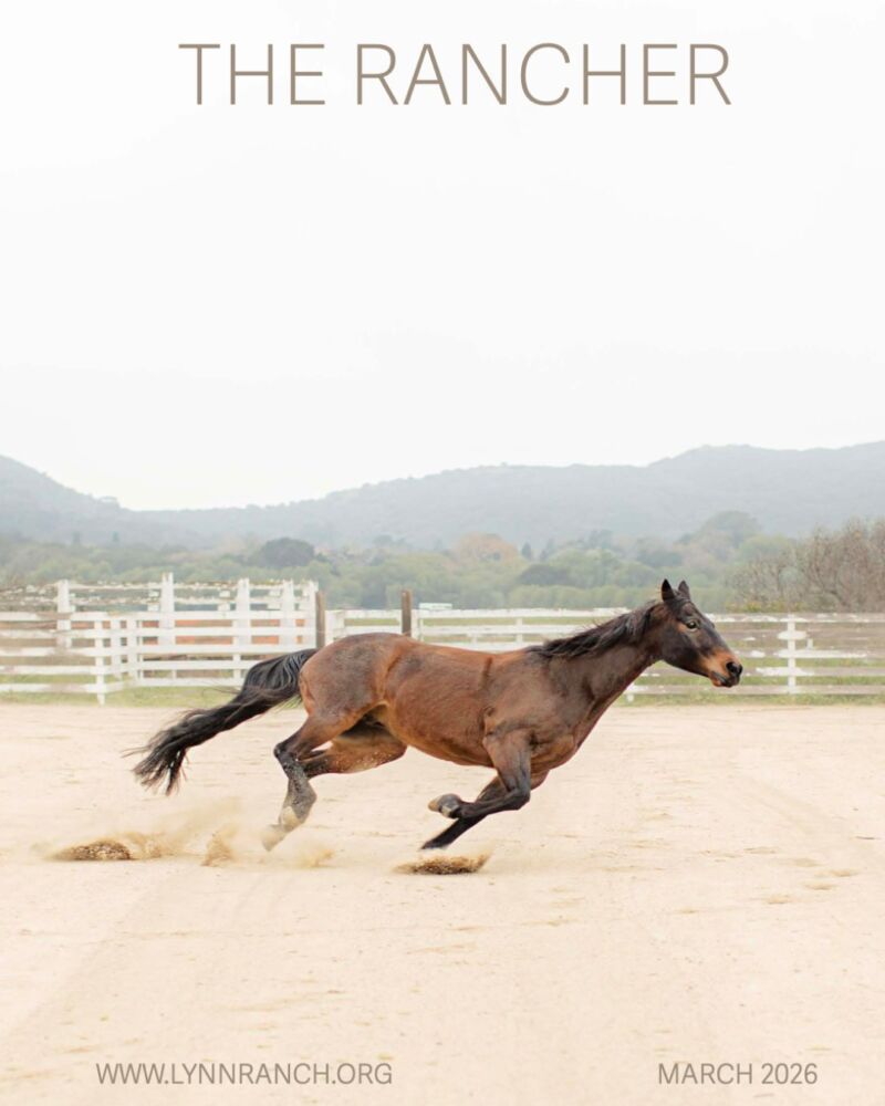 Image for the Tweet beginning: Great to see strong community