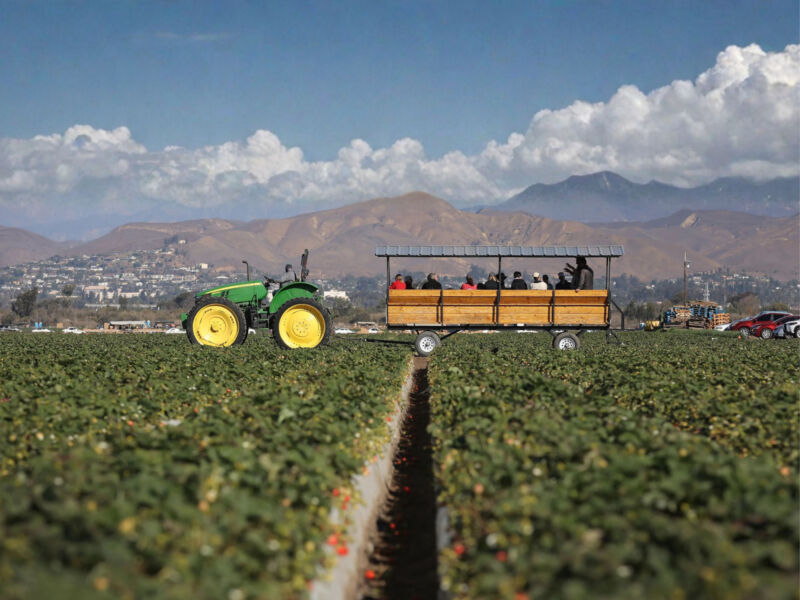 Image for the Tweet beginning: Meet the hands that feed