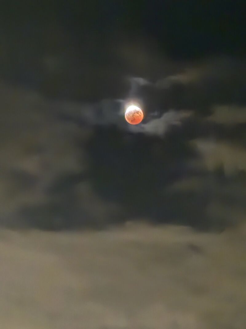 Image for the Tweet beginning: The partial lunar eclipse taken